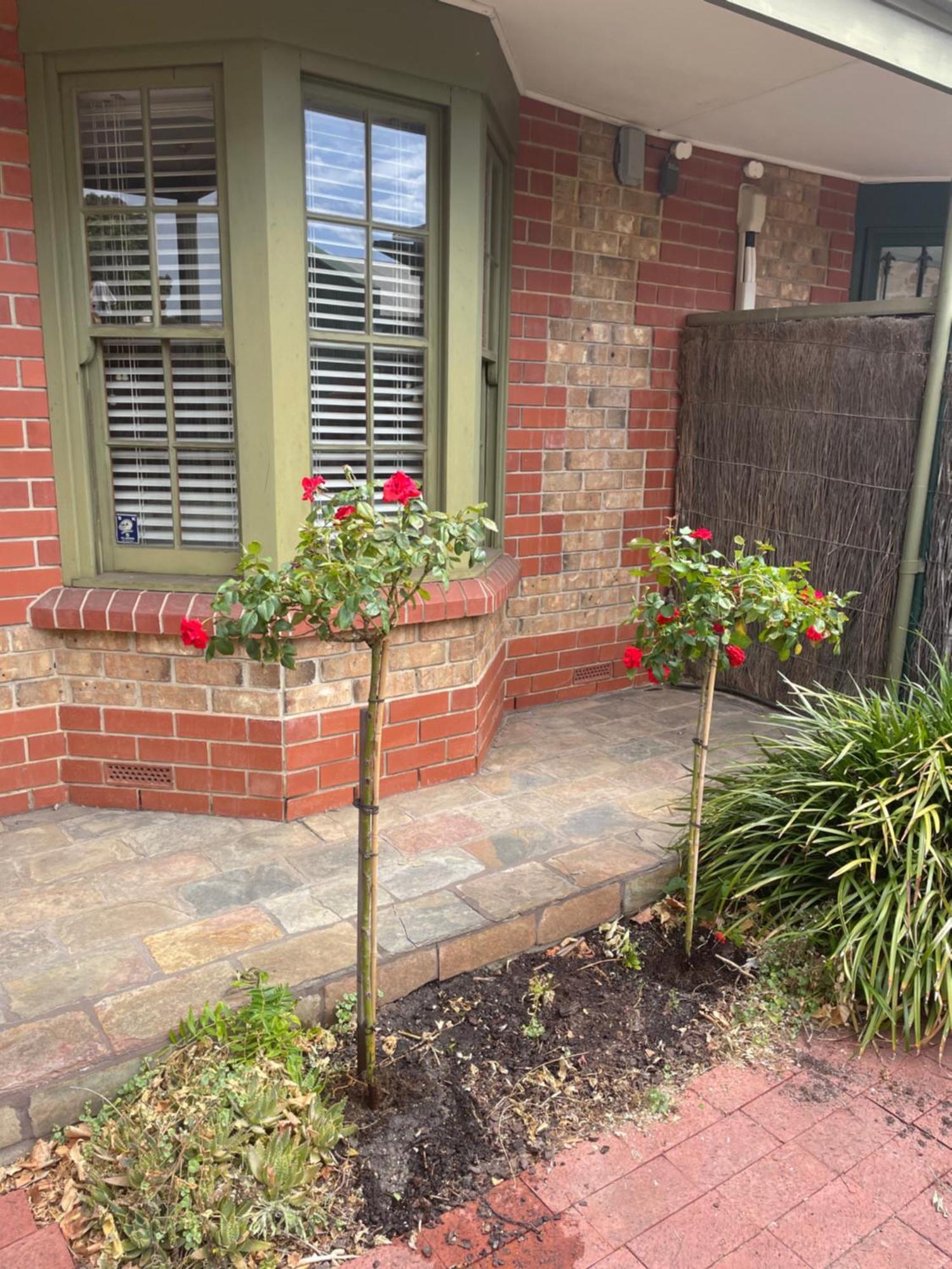 Adelaide Style Accommodation-Getaway In North Adelaide- Close To City エクステリア 写真