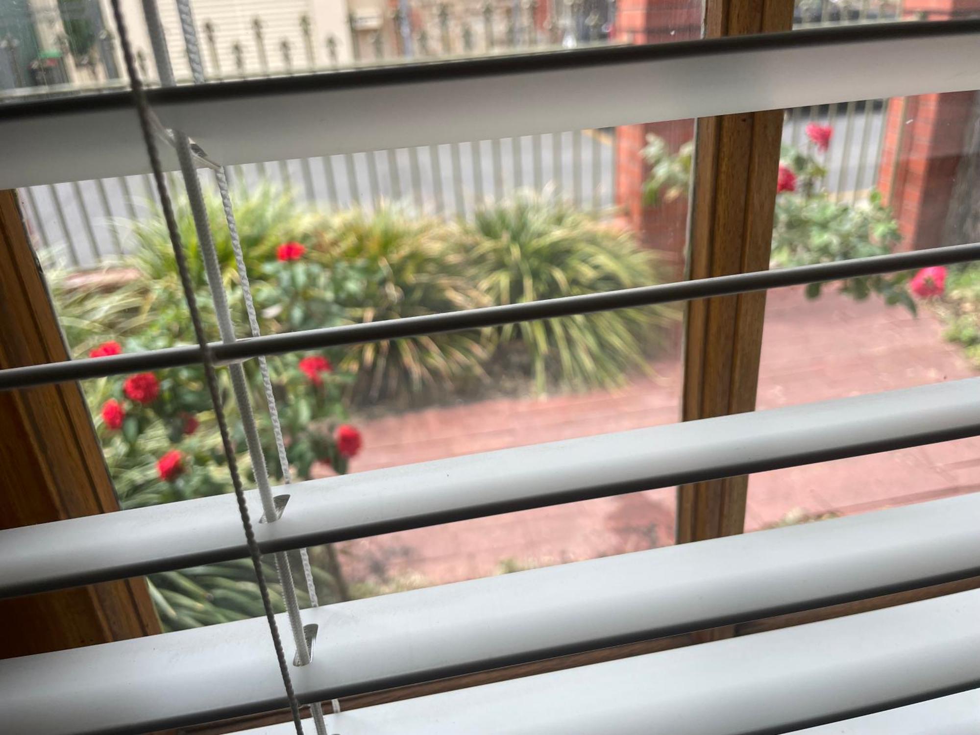 Adelaide Style Accommodation-Getaway In North Adelaide- Close To City エクステリア 写真