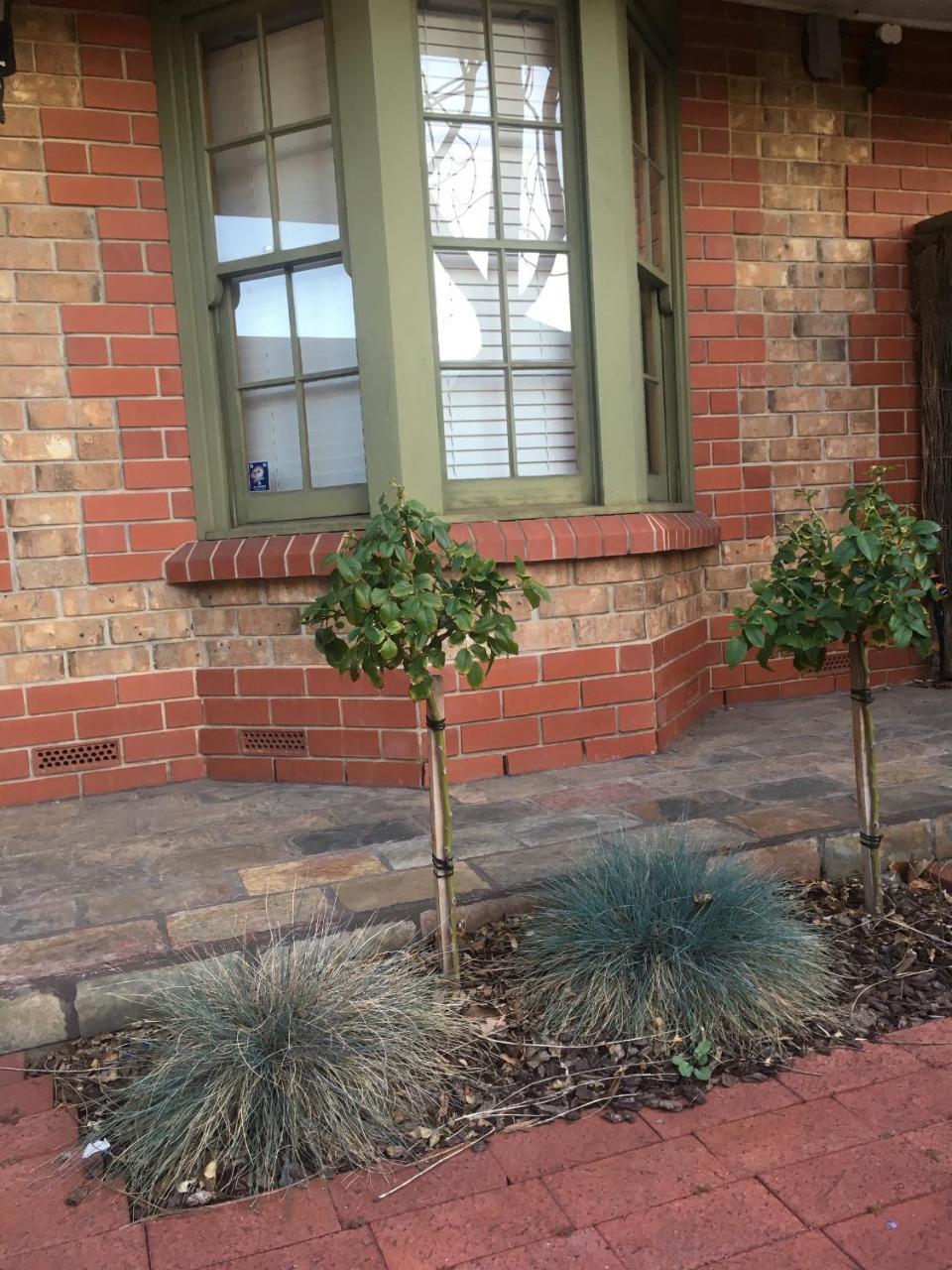 Adelaide Style Accommodation-Getaway In North Adelaide- Close To City エクステリア 写真